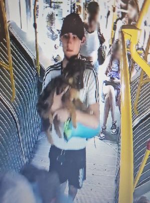 Mężczyzna w czapeczce, w autobusie, trzyma na rekach małego psa.