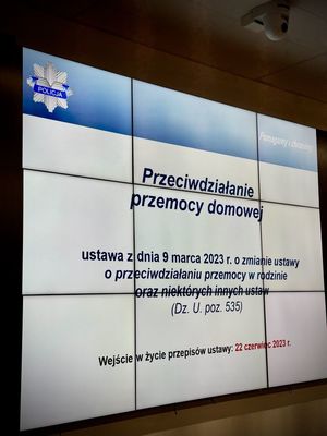 Policjanci prowadzą szkolenie