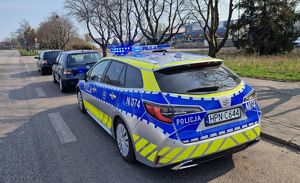 Radiowóz i pojazdy zatrzymane do kontroli
