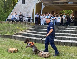 Policjanci na festynie