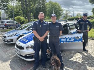 Policjanci na festynie