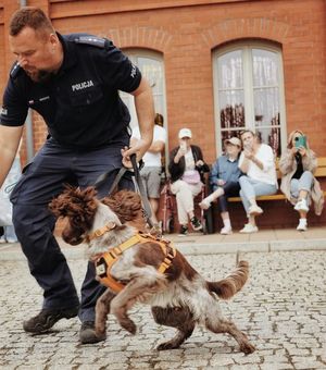 Policjanci na festynie
