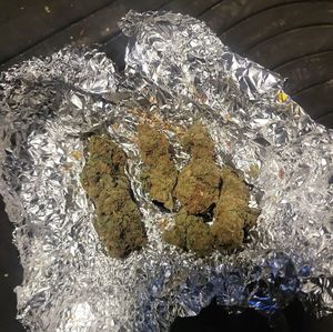 zabezpieczona marihuana