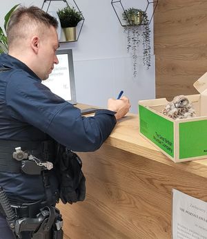 Policjant z pustułką