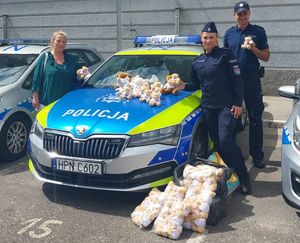 Policjanci stoją przy radiowozie