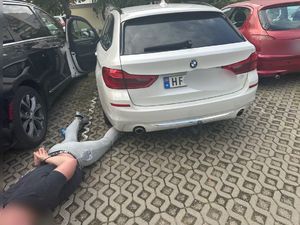 Odzyskane bmw