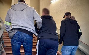 Kryminalni prowadzą zatrzymanego
