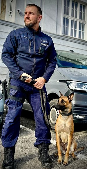 Przewodnik z policyjnym psem służbowym. Owczarek belgijski malinois.