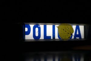 napis policja, na nim żółty liść