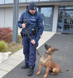 Przewodnik z psem tropiącym