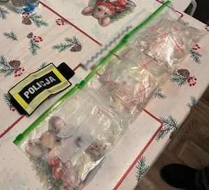 Zabezpieczone narkotyki